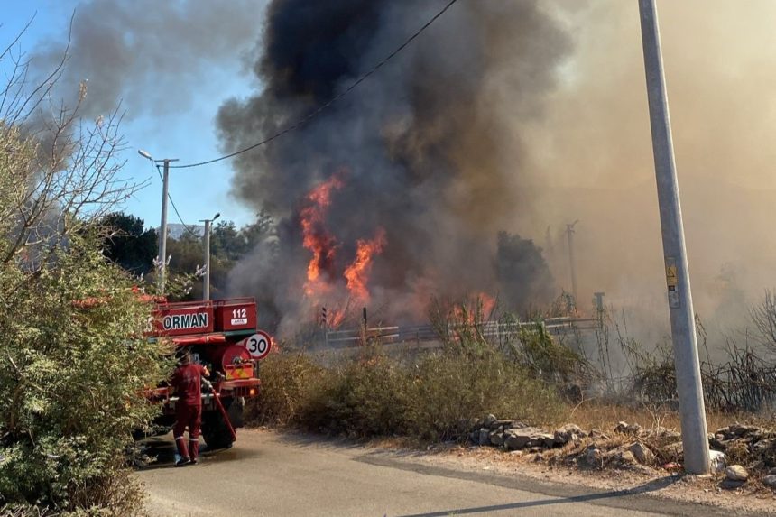 bodrum yangın, bodrum sazlık, bodrum sazlık yangın, bodrum, yangın