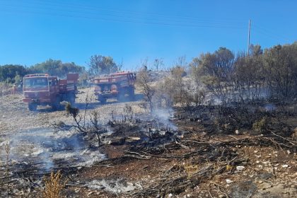 menteşe yangın, menteşe ikizce mahallesi, menteşe ikizce mahallesi yangın, menteşe, muğla menteşe