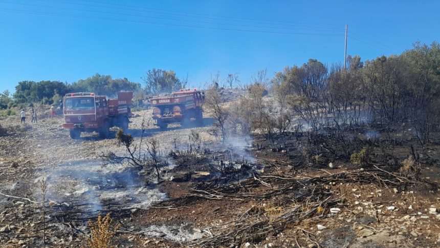 menteşe yangın, menteşe ikizce mahallesi, menteşe ikizce mahallesi yangın, menteşe, muğla menteşe