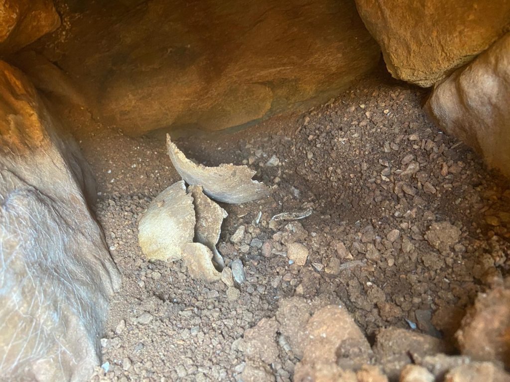 menteşe tarihi eser, menteşede tarihi eser bulundu, muğla tarihi eser, muğlada tarihi eser, menteşe sulama deposu çalışmaları