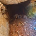 menteşe tarihi eser, menteşede tarihi eser bulundu, muğla tarihi eser, muğlada tarihi eser, menteşe sulama deposu çalışmaları