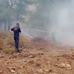 muğla orman yangını son dakika köyceğiz orman yangını milas orman yangını