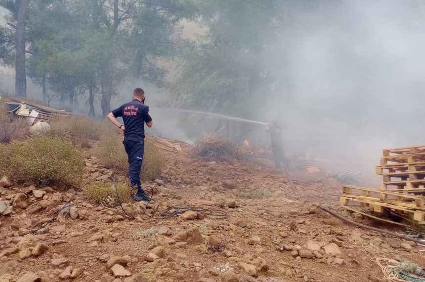 muğla orman yangını son dakika köyceğiz orman yangını milas orman yangını