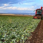 çiftçi kayıt sistemi yönetmeliği, çiftçi kayıt sistemi, çiftçi kayıt sistemi 2025, tarım ve orman bakanlığı çks, çks kayıt