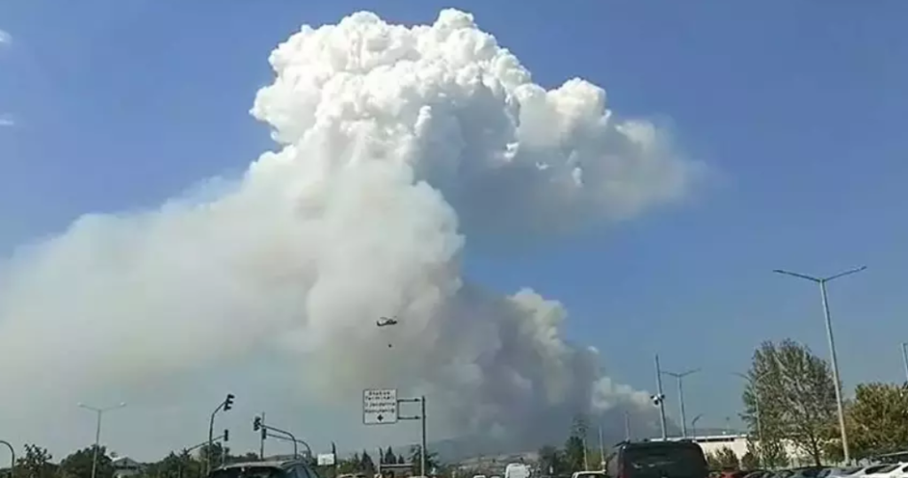 bursa yangın, bursa gündoğdu, bursa son dakika, gündoğdu, bursada yangın