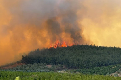 bursa yangın, bursa gündoğdu, bursa son dakika, gündoğdu, bursada yangın