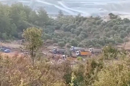 süper izin yasası, maden yasası, akbelen, akbelen zeytin ağacı, akbelen zeytin