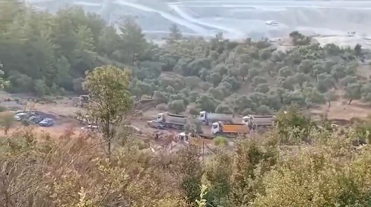 Mahmut Tanal’dan, Akbelen’deki zeytinliklerin sökülmesine ilişkin açıklama: “Hasat zamanı yaklaşmışken bu ne gözü dönmüşlük”