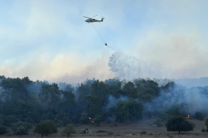 köyceğiz yangın, muğla yangın, muğla orman yangını, milas orman yangını, muğla son dakika