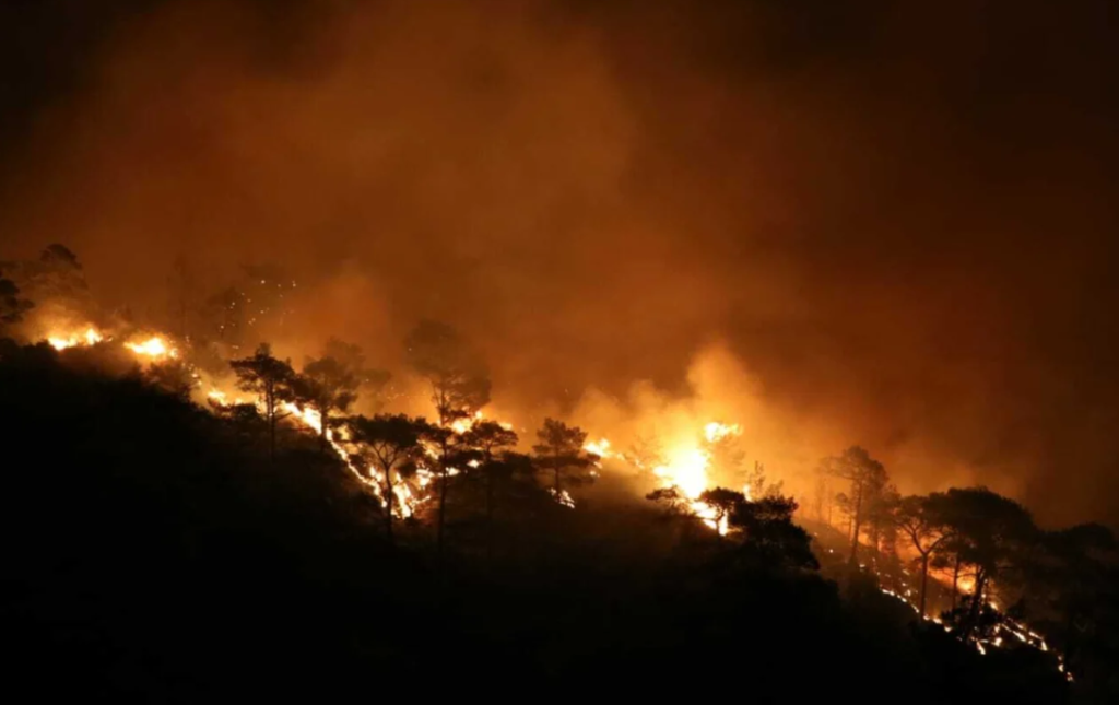 köyceğiz yangın, muğla yangın, muğla orman yangını, milas orman yangını, muğla son dakika