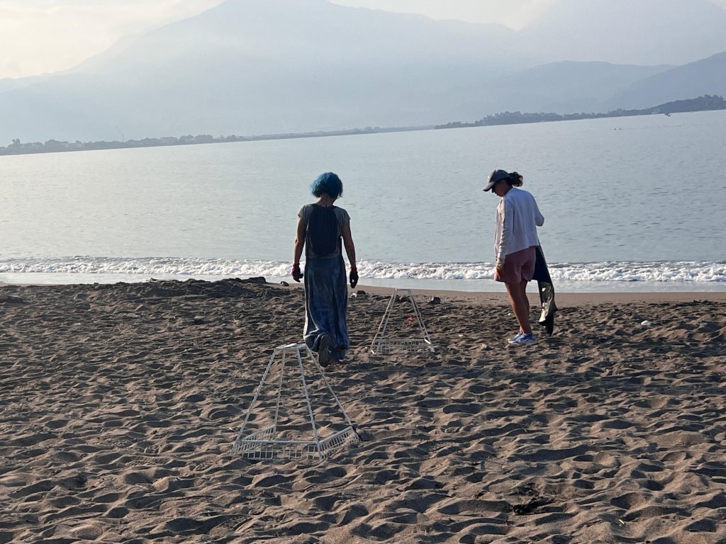 fethiye yavru deniz kaplumbağaları, yavru deniz kaplumbağaları, deniz kaplumbağaları, fethiye çöp toplama, fethiye çöp