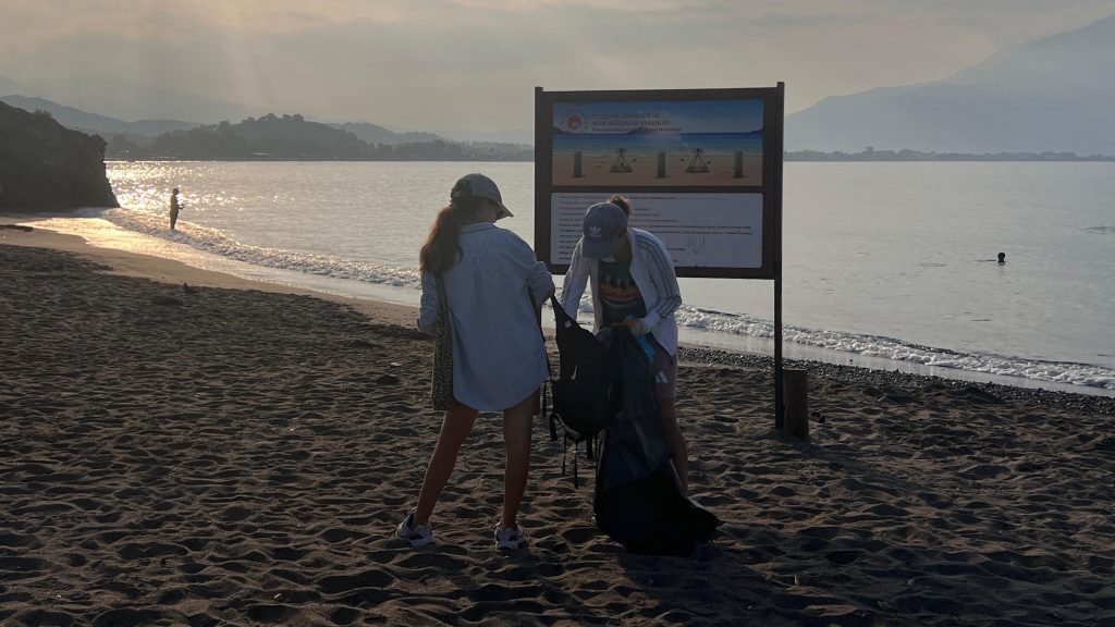 fethiye yavru deniz kaplumbağaları, yavru deniz kaplumbağaları, deniz kaplumbağaları, fethiye çöp toplama, fethiye çöp