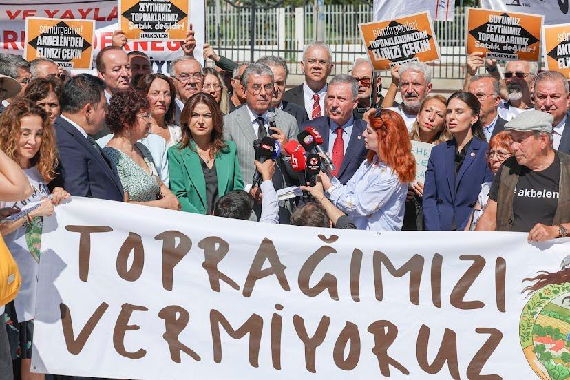 süper izin yasası, maden yasası, akbelen, akbelen zeytin ağacı, akbelen zeytin