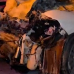 milas kaza, milas trafik kazası, milas, milas dörttepe kavşağı, milas dörttepe kavşağı kaza