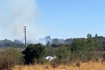 menteşe yangın, menteşe makilik alan, menteşe makilik alanda yangın, menteşe makilik yangın, menteşe