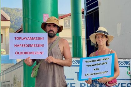 muğla, muğla sokak hayvanları, muğla valiliği sokak hayvanları, muğla valiliği talimat, muğla sokak hayvanları talimat