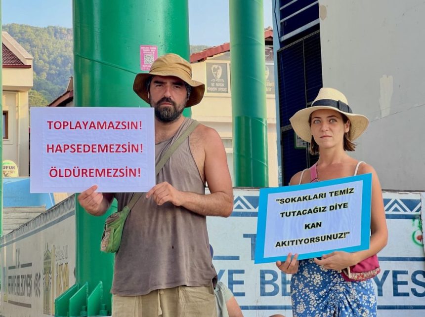 muğla, muğla sokak hayvanları, muğla valiliği sokak hayvanları, muğla valiliği talimat, muğla sokak hayvanları talimat