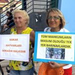 düğerek mahallesi muhtarı, gülfer etyemez, düğerek mahallesi muhtarı sokak köpekleri, düğerek mahallesi sokak köpekleri, düğerek mahallesi muhtarı sokak köpekleri paylaşımı