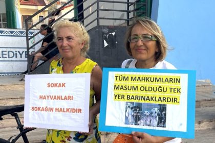düğerek mahallesi muhtarı, gülfer etyemez, düğerek mahallesi muhtarı sokak köpekleri, düğerek mahallesi sokak köpekleri, düğerek mahallesi muhtarı sokak köpekleri paylaşımı