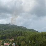 yeşilüzümlü yangın, yeşilüzümlü orman yangını, üzümlü yangın, yeşilüzümlü, fethiye yangın