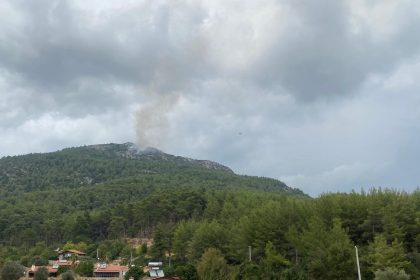 yeşilüzümlü yangın, yeşilüzümlü orman yangını, üzümlü yangın, yeşilüzümlü, fethiye yangın