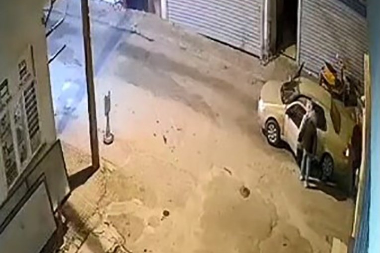 milas oklu kirpi, oklu kirpi, milasta oklu kirpi, milas, milasta hayatını kaybeden oklu kirpi