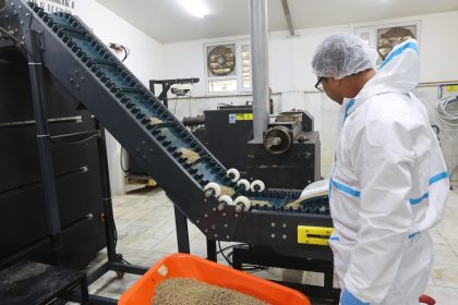 muğla büyükşehir belediyesi mama, kedi köpek mama üretim tesisi, muğla büyükşehir belediyesi mama üretim tesisi, muğla mama üretim tesisi, muğla kedi köpek mama üretim tesisi