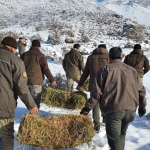 dkmp başvurusu nasıl yapılır, dkmp başvurusu, dkmp başvurusu şartları, dkmp personel alımı, dkmp personel