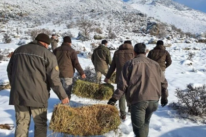 dkmp başvurusu nasıl yapılır, dkmp başvurusu, dkmp başvurusu şartları, dkmp personel alımı, dkmp personel