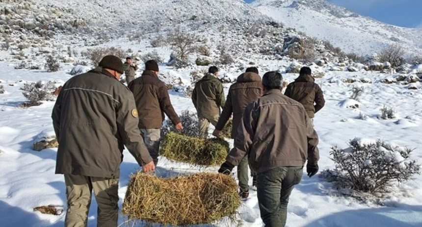 dkmp başvurusu nasıl yapılır, dkmp başvurusu, dkmp başvurusu şartları, dkmp personel alımı, dkmp personel