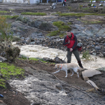 izmir foça sel, izmir foça sel olayı, foça sel, izmir foça, foça sel