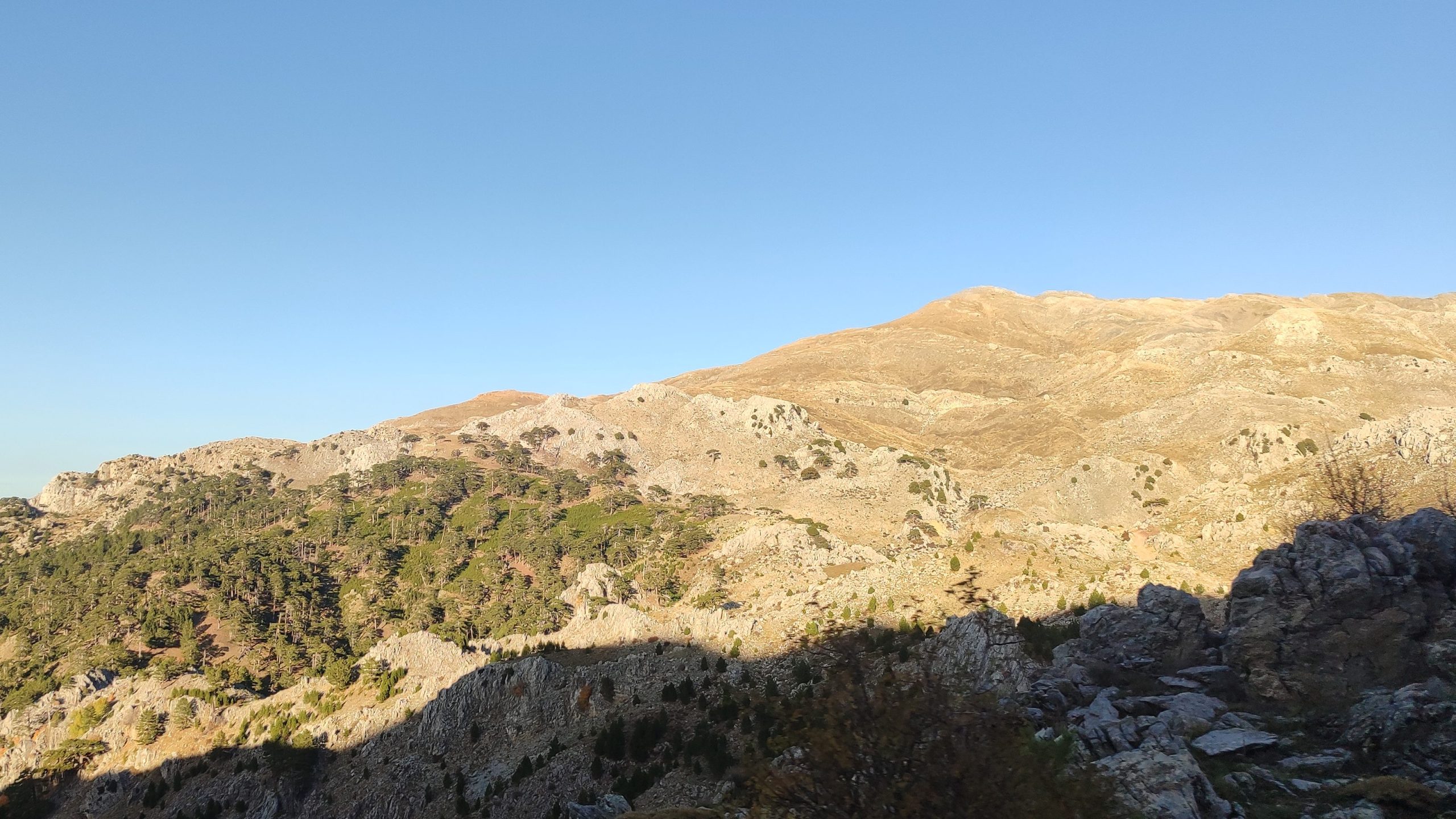 nif krom ocağı projesi fethiye nif krom projesi fethiye krom projesi bilirkişi keşfi