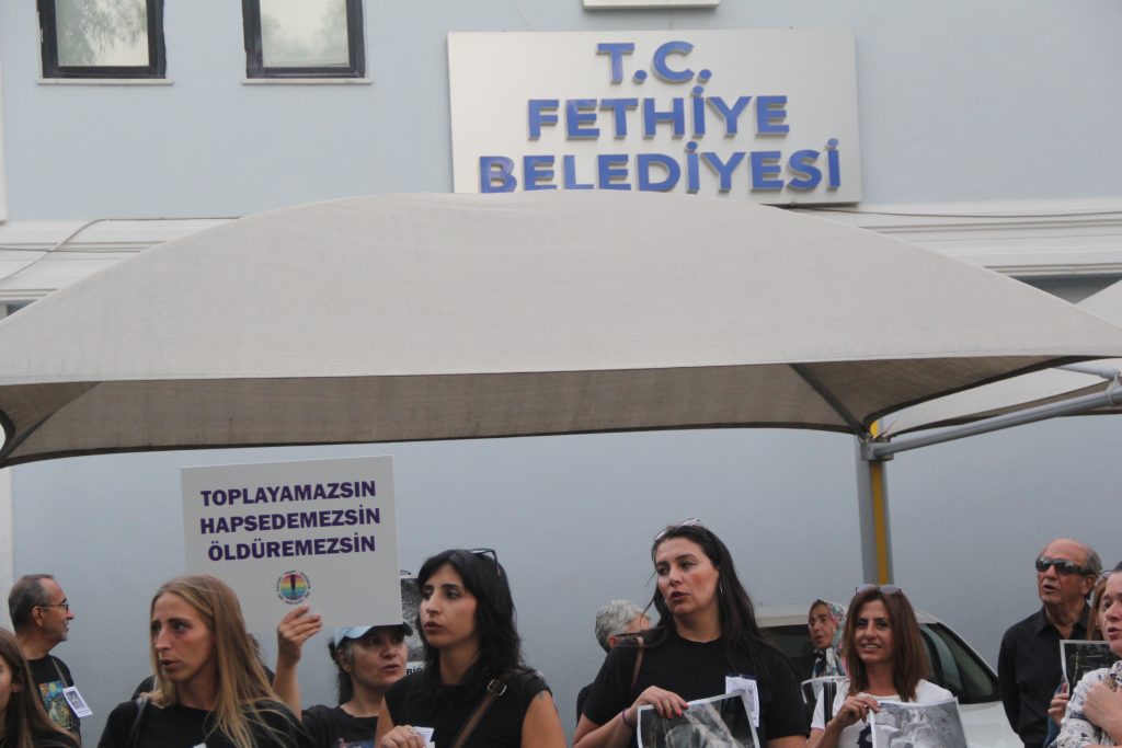 fethiye hayvanları koruma günü 4 ekim hayvanları koruma günü fethiye basın açıklaması