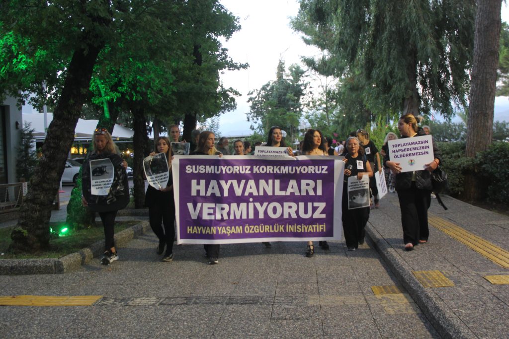fethiye hayvanları koruma günü 4 ekim hayvanları koruma günü fethiye basın açıklaması