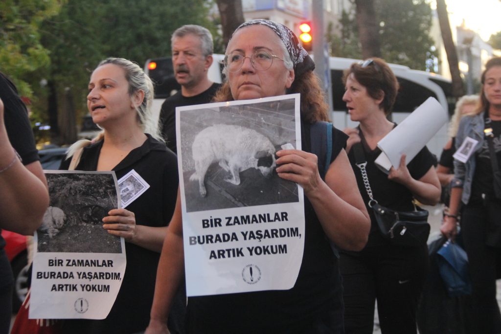 fethiye hayvanları koruma günü 4 ekim hayvanları koruma günü fethiye basın açıklaması