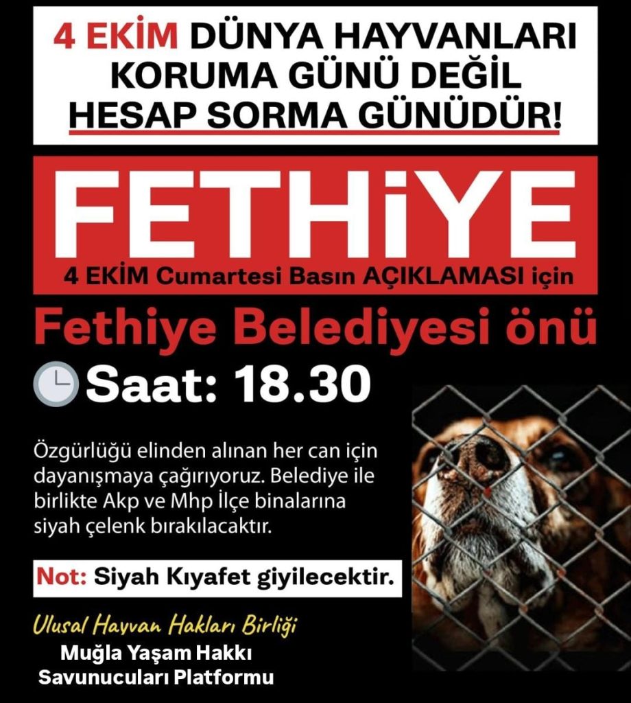 fethiye hayvan hakları, 4 ekim fethiye, fethiye 4 ekim, fethiye 4 ekim dünya hayvanları koruma günü, fethiye belediyesi