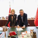 ayşe kulin kimdir, ayşe kulin kaç yaşında, ayşe kulin, ayşe kulin chp, özgür özel