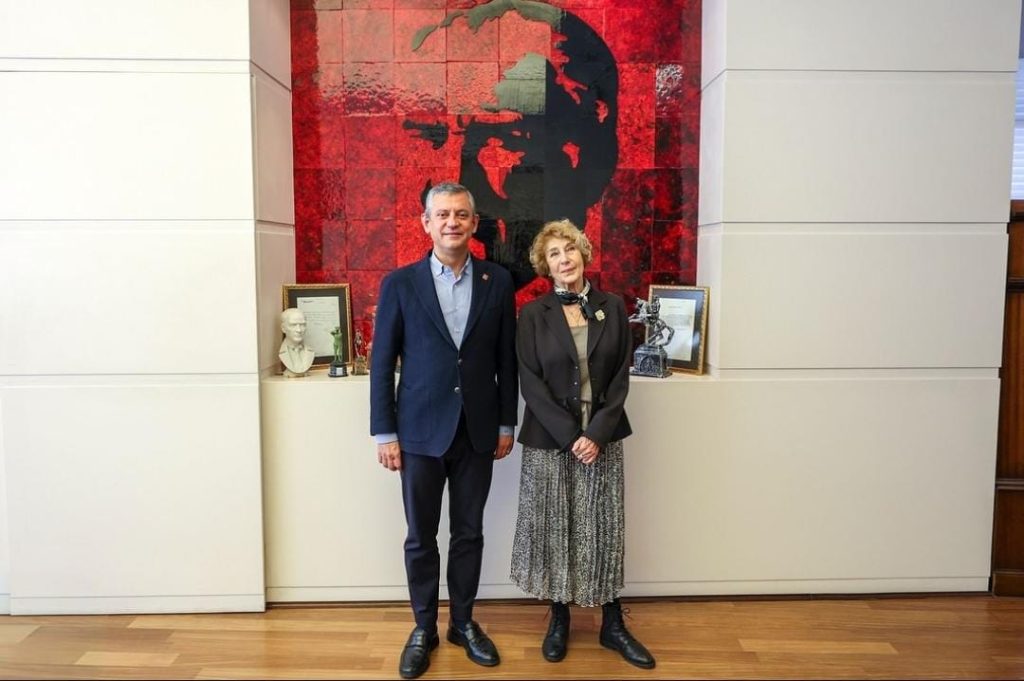 ayşe kulin kimdir, ayşe kulin kaç yaşında, ayşe kulin, ayşe kulin chp, özgür özel