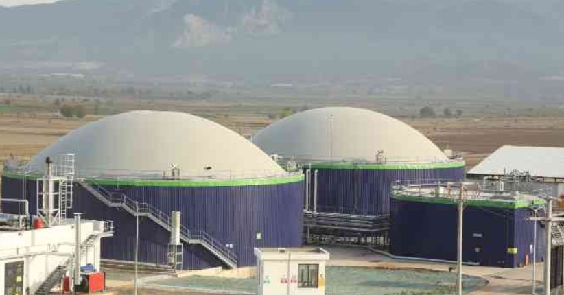 ecogreen kaç lot verdi, ecogreen halka arz sonuçları, halka arz, ecogreen halka arz, ecogreen