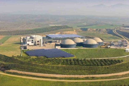ecogreen kaç lot verdi, ecogreen halka arz sonuçları, halka arz, ecogreen halka arz, ecogreen