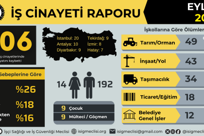 isig meclisi, isig, iş cinayeti raporu, iş cinayeti, isig meclisi iş cinayeti raporu
