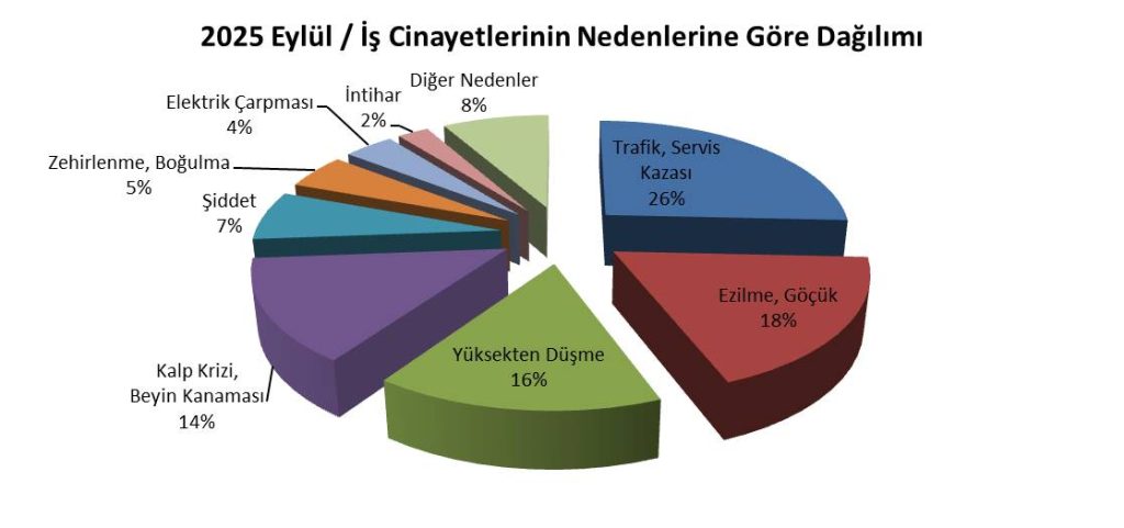 isig meclisi, isig, iş cinayeti raporu, iş cinayeti, isig meclisi iş cinayeti raporu