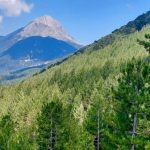 nif, fethiye nif, fethiye nif çeşmesi, fethiye krom eleme tesisi, dağ taş aş bizim platformu