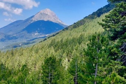 nif, fethiye nif, fethiye nif çeşmesi, fethiye krom eleme tesisi, dağ taş aş bizim platformu