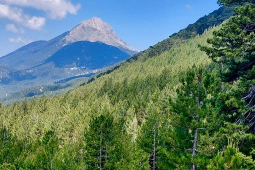 nif, fethiye nif, fethiye nif çeşmesi, fethiye krom eleme tesisi, dağ taş aş bizim platformu