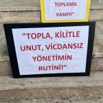 datça hayvan sevenler derneği, datça belediyesi, datça belediyesi hayvan bakımevi, datça, datça kontes