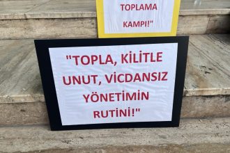 datça hayvan sevenler derneği, datça belediyesi, datça belediyesi hayvan bakımevi, datça, datça kontes