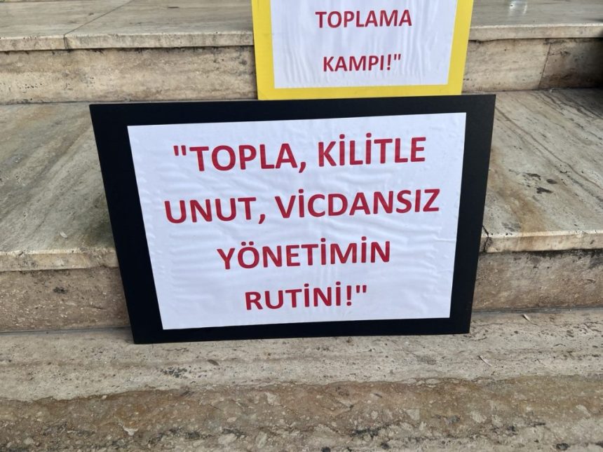 datça hayvan sevenler derneği, datça belediyesi, datça belediyesi hayvan bakımevi, datça, datça kontes