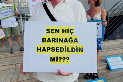 datça belediyesi hayvan bakımevi, datça hayvan bakımevi, datça kontes, datça belediyesi hayvan bakımevi kontes, datça belediyesi ihmal