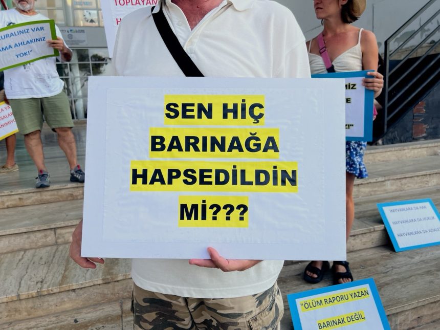 datça belediyesi hayvan bakımevi, datça hayvan bakımevi, datça kontes, datça belediyesi hayvan bakımevi kontes, datça belediyesi ihmal